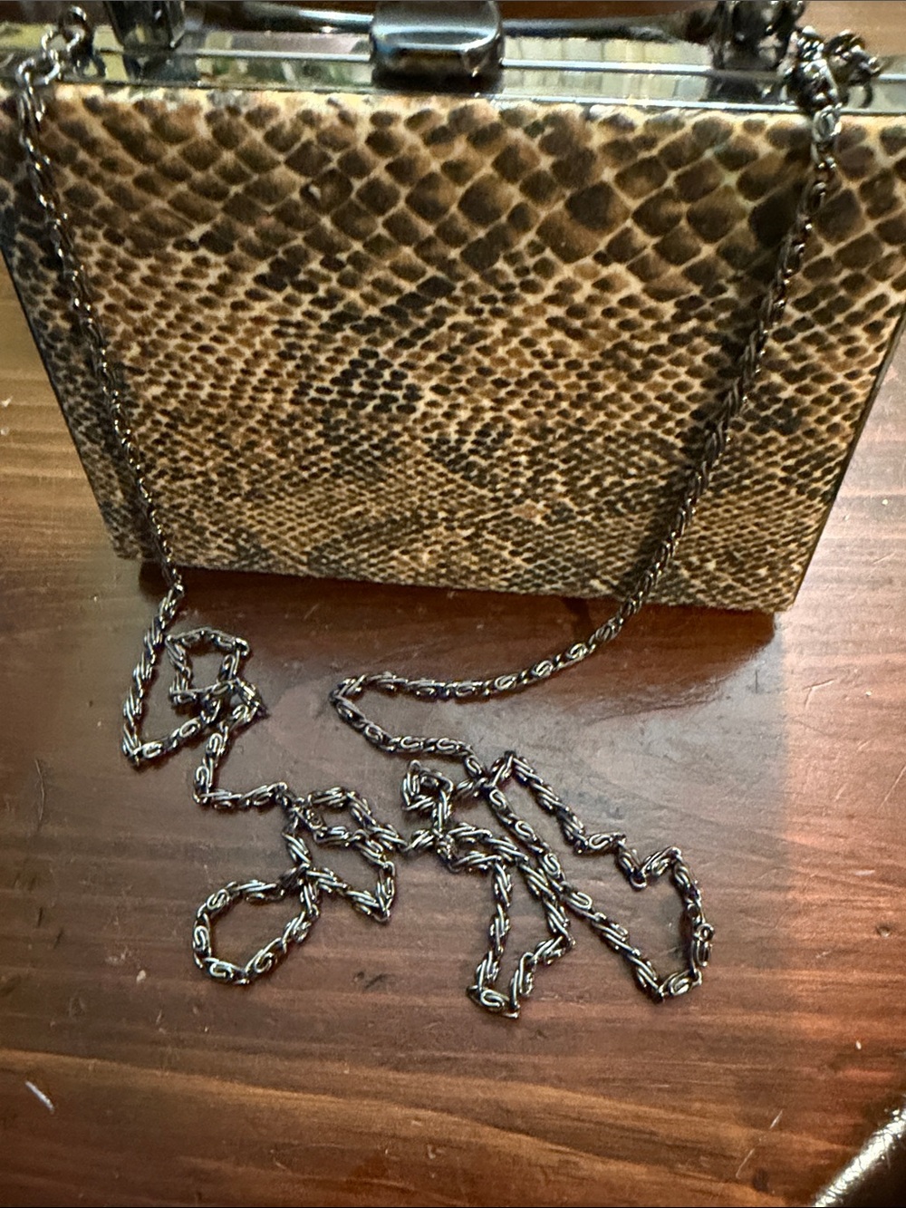 Snake-Print Box Clutch with Top Handle